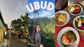 Skybike at the rice terraces & getting THE BEST massages in Bali Ubud Vlog part one
