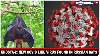 KHOSTA-2 NEW COVID LIKE VIRUS FOUND IN RUSSIAN BATS