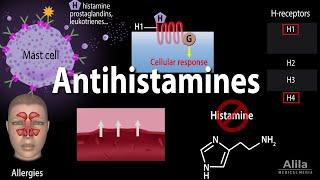 Histamine and Antihistamines Pharmacology Animation