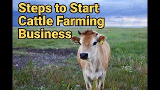 Cattle Farming Business Plan  How to Start a Cattle Farm