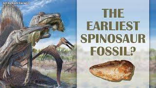 The Earliest Spinosaur Fossil?