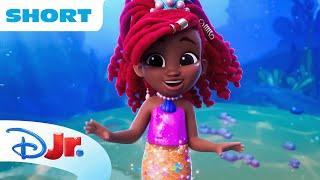 Disney Jr.’s Ariel Mermaid Tales Short #1 ‍️  Ariels Tail  Shimmer Song   @disneyjunior