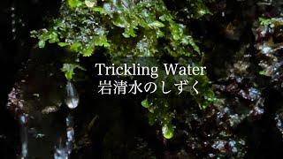 【自然環境音】岩清水のしずく・湧水のせせらぎの音  睡眠 瞑想 勉強 作業用 BGM  リラックス・集中  自然音 Nature Sounds  ASMR