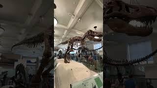 I visited the top two museums in NYC