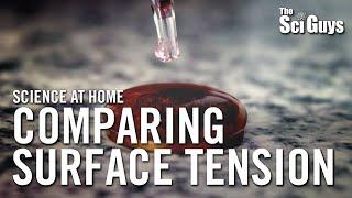 The Sci Guys Science at Home - SE3 - EP7 Comparing Surface Tension - Penny Surface Tension