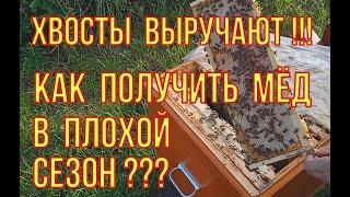 Катастрофа сезона 2023 или время когда действительно нужен Пчеловод. Итоги по мëду.