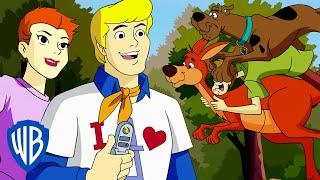 Scooby-Doo  Mystery Inc International  WB Kids