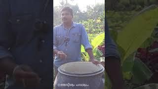 ചിലവില്ല കൃഷിക്കുപയോഗിക്കുന്ന വളം  No cost Fertilizer for agriculture