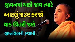 નવી ને અવનવી વાતો  Brahmavihari Swami 2024  BAPS Katha Pravachan  Swaminarayan Katha