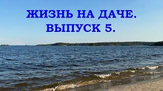 ЖИЗНЬ НА ДАЧЕ.  ВЫПУСК 5.