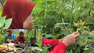 Panen Kacang Gude Hiris Masak Sayur Asem Pecak Hiris Tahu Tempe Goreng Sambal Terasi Ikan Asin