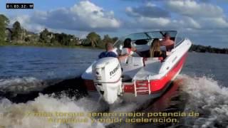 Evinrude Challenges VS Mercury