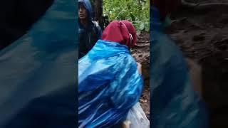 SI EN EN  Jalur putri gunung gede pangrango #gununggede