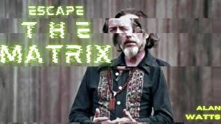 Alan Watts  Escape The MATRIX