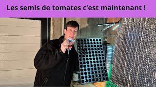 Les semis de tomates cest maintenant