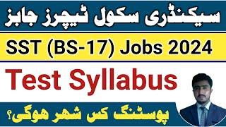 Fpsc SST Jobs 2024 syllabus  SST jobs details  FPSC SST BS 17 salary  duty city