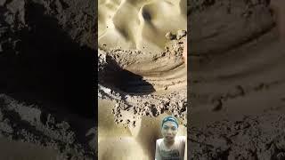 mencari air di tanah kering #satisfying #sand #shortvideo #shorts