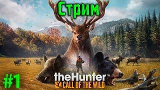 theHunter Call of the Wild #1  Первый взгляд на игру theHunter Call of the Wild