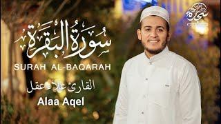 سورة البقرة كاملة لطرد الشياطين #Jumat_Berkah#  باذن الله surat albaqra -#علاء_عقل  #alaa_ak