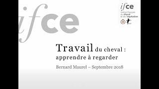 Travail du cheval  apprendre à regarder - Bernard Maurel