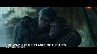 The War for the Planet of the Apes Review  Price of Admission