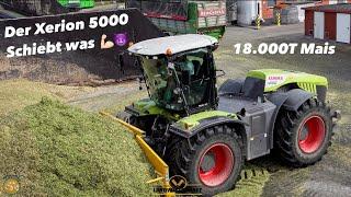 Der XERION 5000 Schiebt was  Lohnauftrag 18.000T Mais Silieren M.H.D GmbH Mais 2023