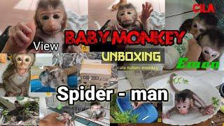 spider-man no way home is this monkey the same as spider man