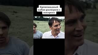 Кровожадный кабан размером с носорога. Название фильма Кабан. 2017г