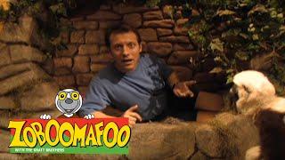 Zoboomafoo 104 - Whos in the hole? Full Episode