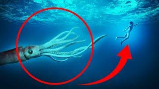 8 Giant Squid Encounters You Really Shouldnt Watch