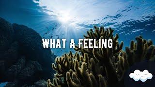 Alex Gaudino Feat. Kelly Rowland - What A Feeling Lyrics