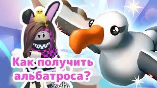 Как получить АЛЬБАТРОСА в Adopt Me Roblox  Обновление снежная погода