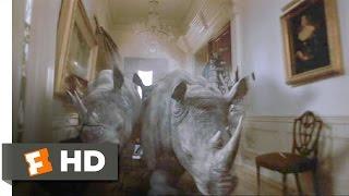 Jumanji 48 Movie CLIP - Stampede 1995 HD