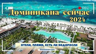 Доминикана сейчас 2024 отели пляжи есть ли водоросли - iDominicana.com