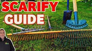 How to scarify a lawn  EVERYTHING you need to get it RIGHT  Lawn care for beginners