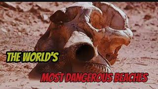 The ten most dangerous beaches in the world. first place is known as the Sea Cemetery.