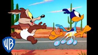 Looney Tunes  Baby Wile E. Coyote and Baby Road Runner  Classic Cartoon  WB Kids