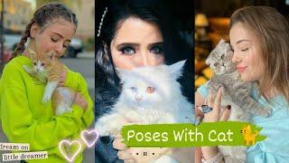 Poses With Cat  Aesthetic  Selfie With Your Pet  Poses Ideas With Cat