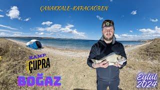 ÇANAKKALE BOĞAZINDA ÇUPRA AVI - KAMP ÇADIR BALIK AVI HEPSİ BU VİDEODA  #fishing #surfcasting