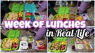 Whats In My Kids Lunchboxes  Easy School Lunch Ideas