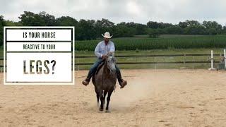 Horse Riding with Confidence Essential Skills for Understanding Leg Pressure