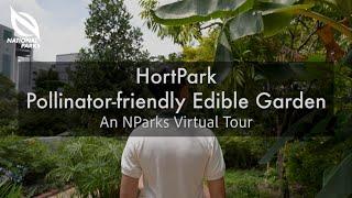 Pollinator-friendly Edible Garden at HortPark  An NParks Virtual Tour