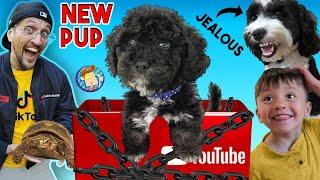 NEW PUPPY Surprise  YOUTUBE Sent Us This BOX FV Family Surprise Oreos Brother Vlog