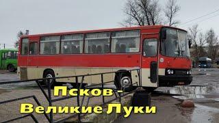 Автобусная сенсация Ikarus 256 на маршруте Псков – Великие Луки