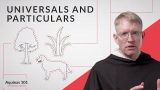 Universals and Particulars Genus and Species Aquinas 101