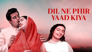 Dil Ne Phir Yaad Kiya 1996 Hindi Full Movie  Hindi Romantic Drama Nutan Dharmendra Rehman Khan
