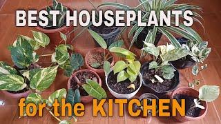 BEST HOUSEPLANTS FOR THE KITCHEN - MGA HALAMAN PWEDE ILAGAY SA KUSINA