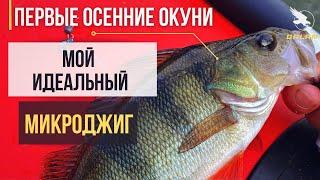 Осенний хищник  идеальный спиннинг для микроджига  река Воронеж  рыбалка в сентябре