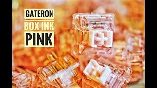 Gateron Box Ink Pink Sound Test