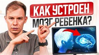 Как устроен МОЗГ ребенка? Факты которые ответят родителям на многие вопросы…